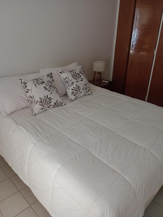 Departamento Belgrano Mendoza